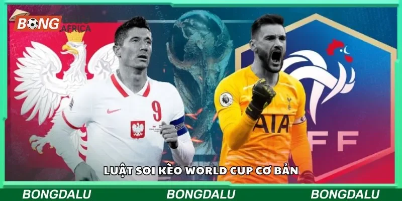Luật soi kèo World Cup cơ bản
