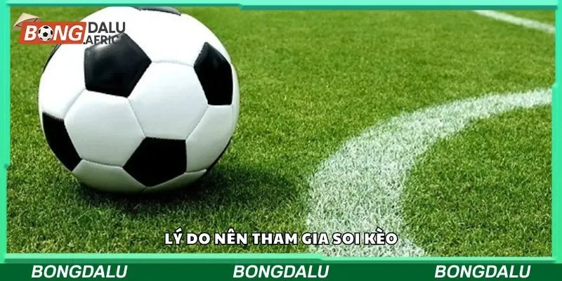 Lý do nên tham gia soi kèo