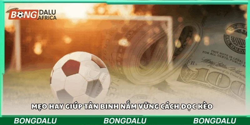 Mẹo hay giúp tân binh nắm vững cách đọc kèo