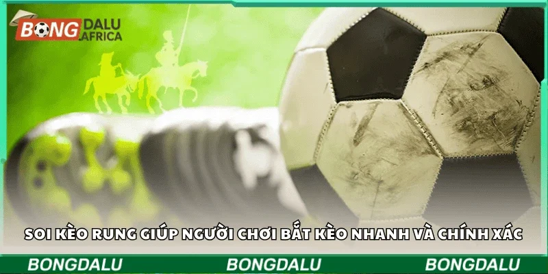 Soi kèo rung giúp người chơi bắt kèo nhanh và chính xác