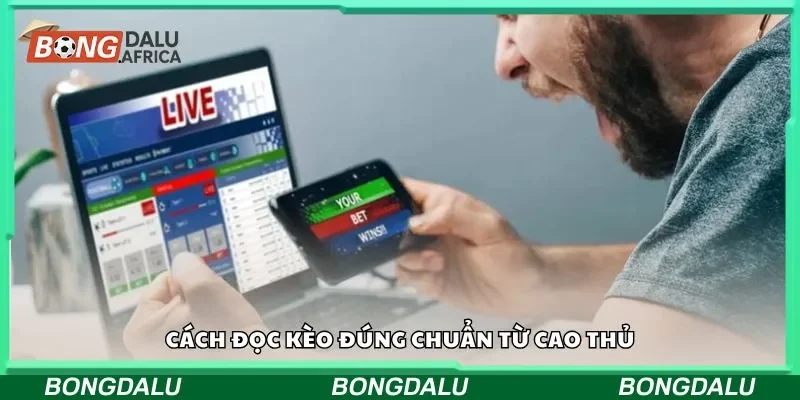 Cách đọc kèo đúng chuẩn từ cao thủ