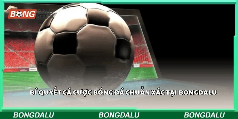 Bí quyết cá cược bóng đá chuẩn xác tại Bongdalu