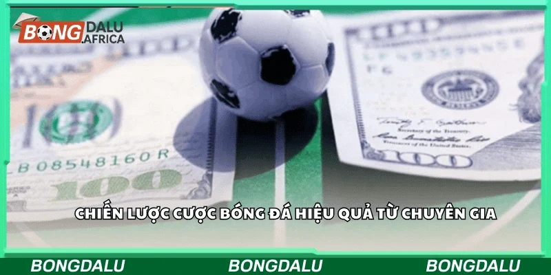 Chiến lược cược bóng đá hiệu quả từ chuyên gia