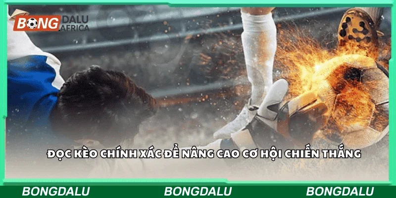 Đọc kèo chính xác để nâng cao cơ hội chiến thắng