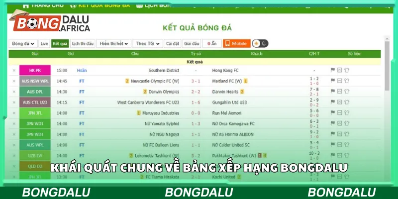 Khái quát chung về bảng xếp hạng Bongdalu