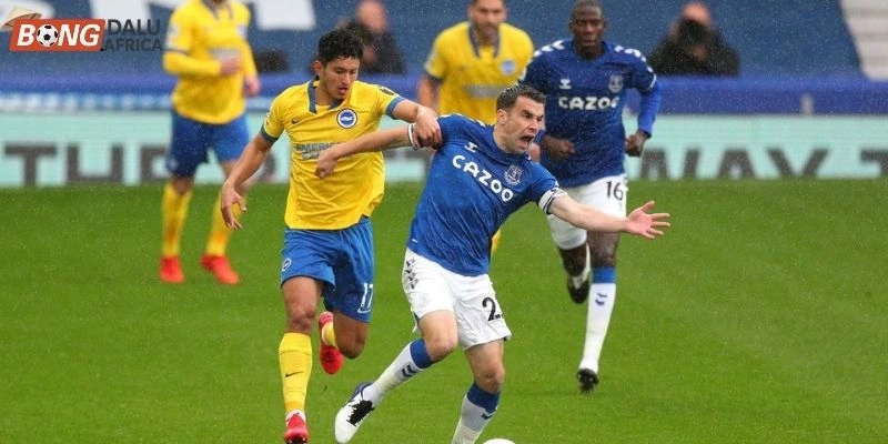 Đánh giá phong độ Brighton vs Everton
