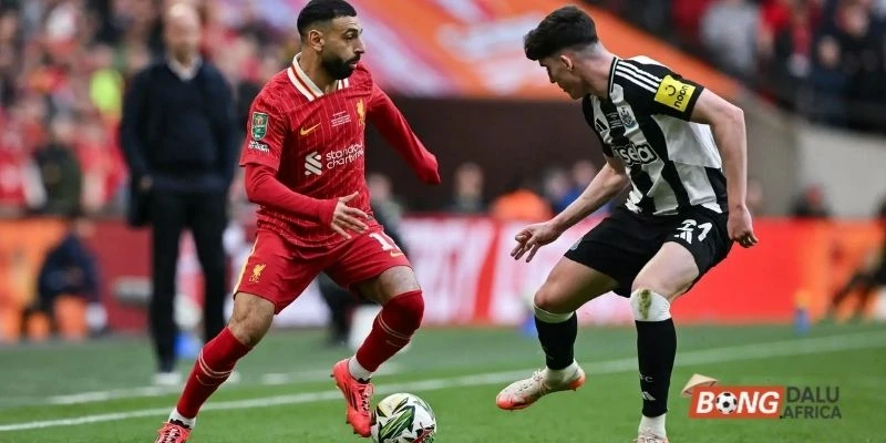 Diễn biến tình hình Liverpool vs Newcastle