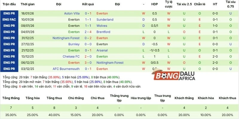 Hiệu quả thi đấu Everton thời gian qua