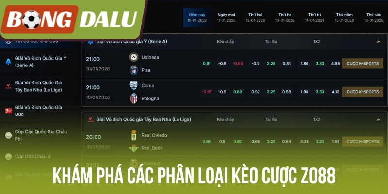 Khám phá các phân loại kèo cược Zo88