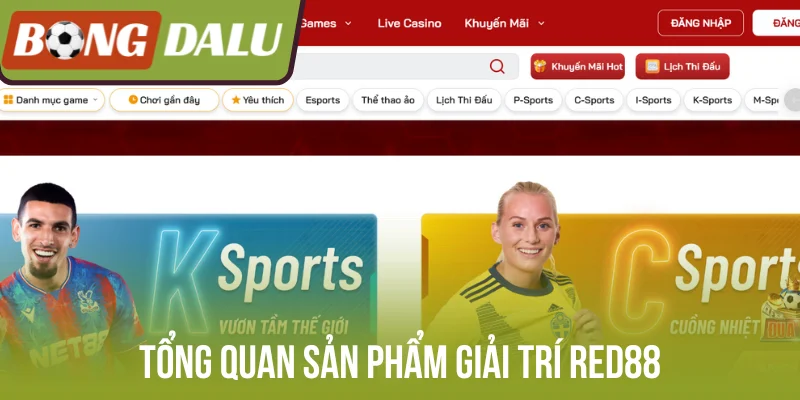Tổng quan sản phẩm giải trí Red88