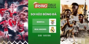 Soi Tỷ Lệ Kèo Nhà Cái Benfica Vs Real Madrid – Cup C1, 18/02/2026 