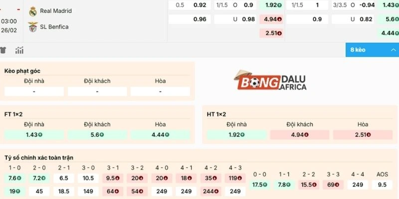 Dự đoán, soi kèo Real Madrid vs Benfica