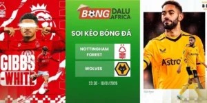 Soi kèo bóng đá Nottingham Forest vs Wolves - NHA, 12/02/2026