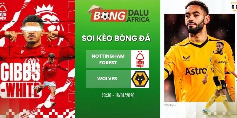 Soi Kèo Bóng Đá Nottingham Forest Vs Wolves – NHA, 12/02/2026