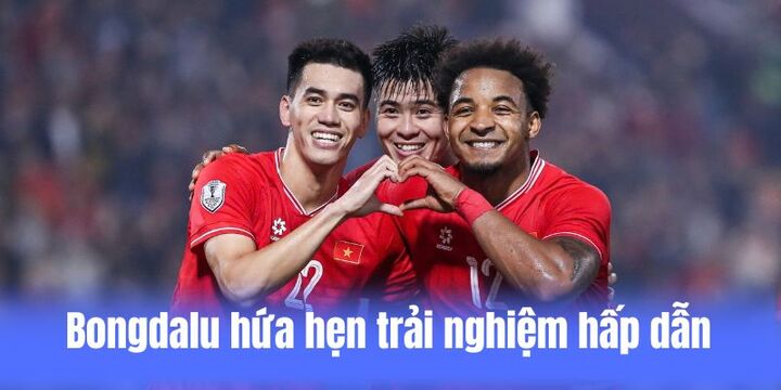 Giới thiệu thông tin cơ bản về Bongdalu